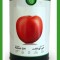 فروش بذر گوجه Falat CH، بذر درجه یک