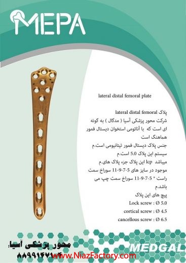 lateral distal femoral plate