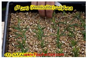 ورميكوليت (Vermiculite)