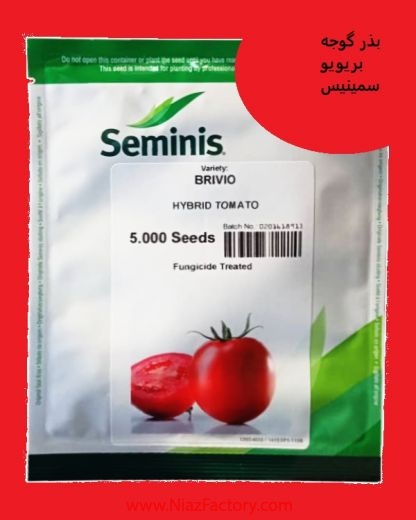بذر گوجه Breivio Seminis- فروش و ارسال سراسری