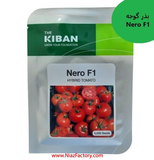 فروش بذر گوجه Nero F1 کیبان کره جنوبی