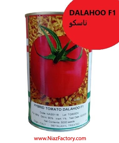 فروش بذر گوجه DALAHOO F1 ناسکو