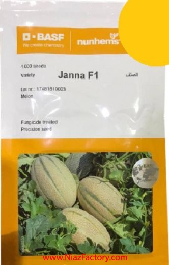فروش بذر ملون Janna F1 نانهمز هلند ، بذر درجه 1