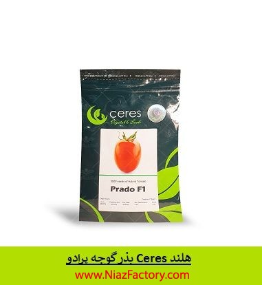 فروش بذر گوجه پرادو Ceres هلند ، بذر گوجه وارداتی