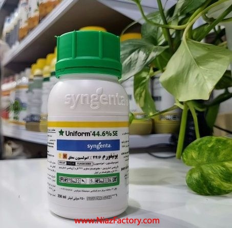 فروش سم رفع بوته میری ، سم یونیفرم Syngenta سوئیس